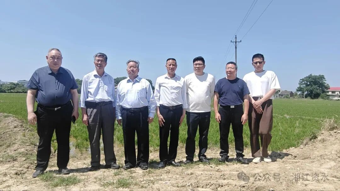 林友华调研点赞益阳耐热SOD功能农业产业水稻示范基地