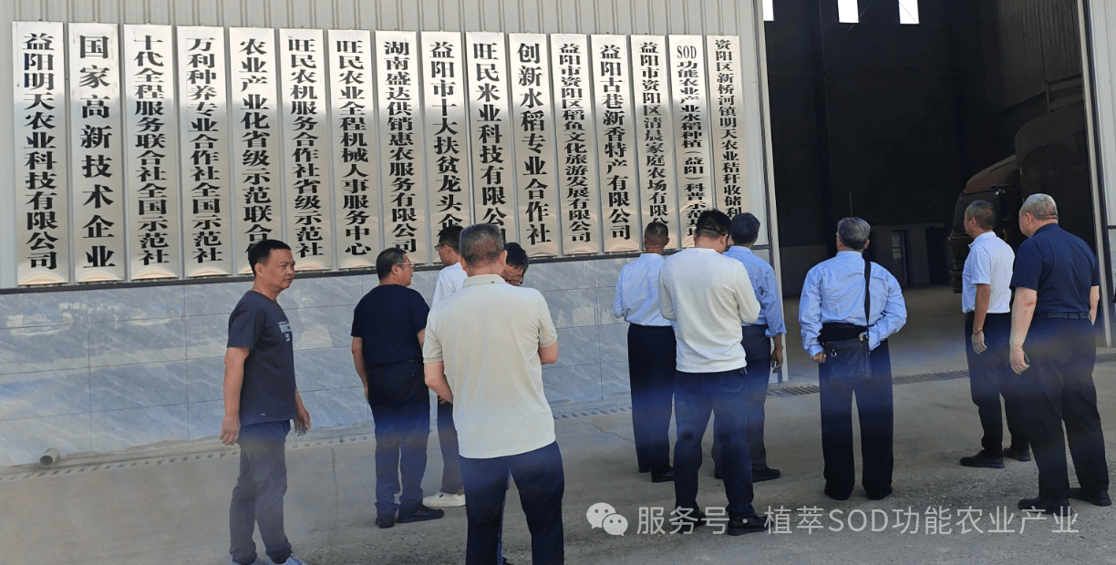 兴国路上有我参与，科技兴农有我的声音！湖南植萃：强国复兴有我！