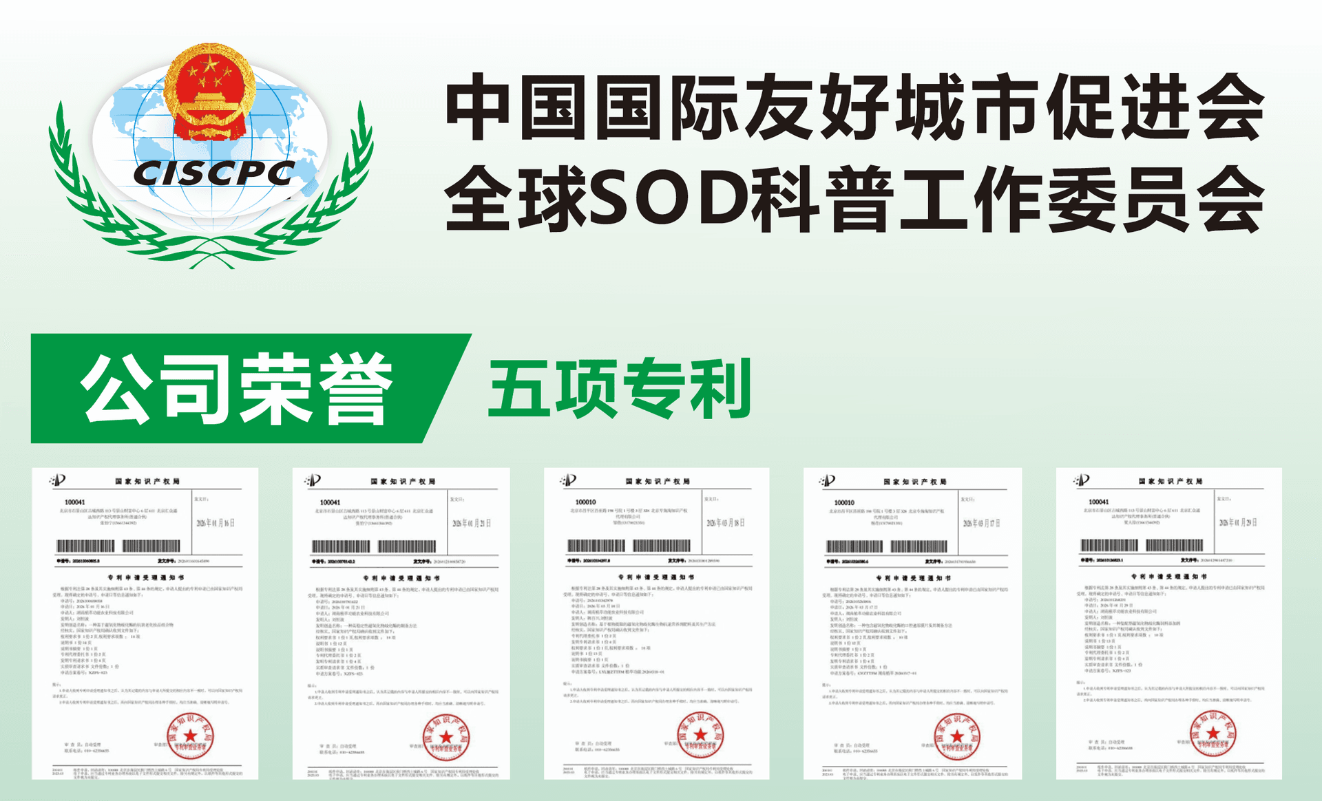 5项发明专利