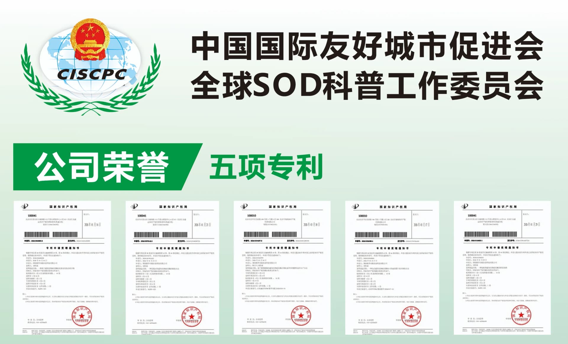 5项发明专利