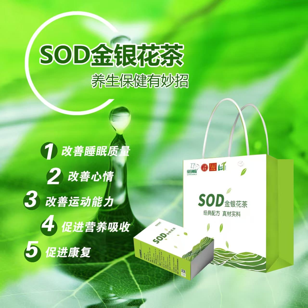 SOD茶叶种植