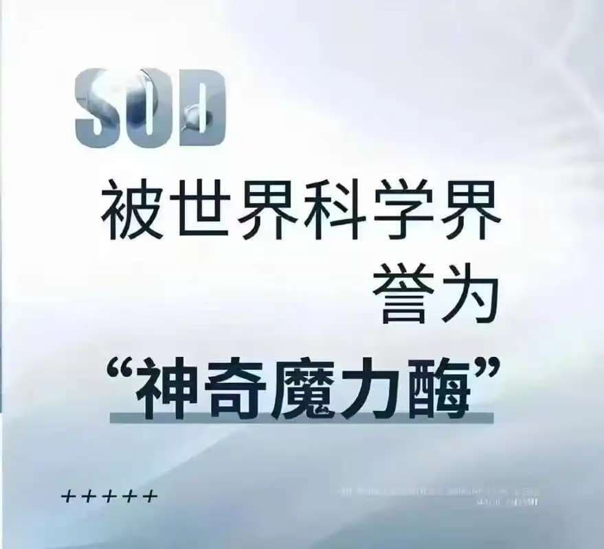 SOD挂面（礼盒装）-3