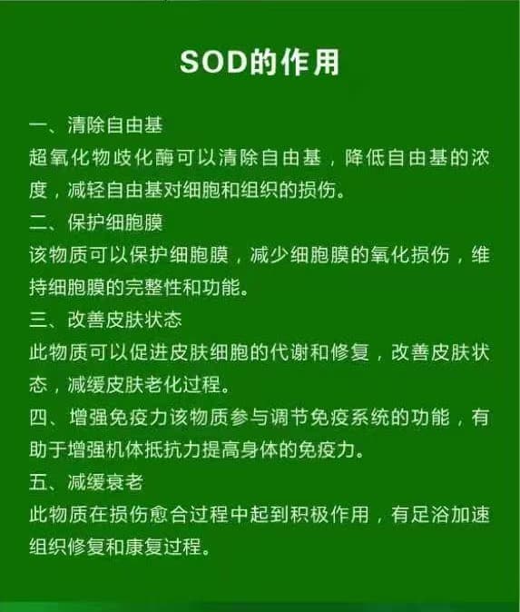 SOD挂面（礼盒装）-5