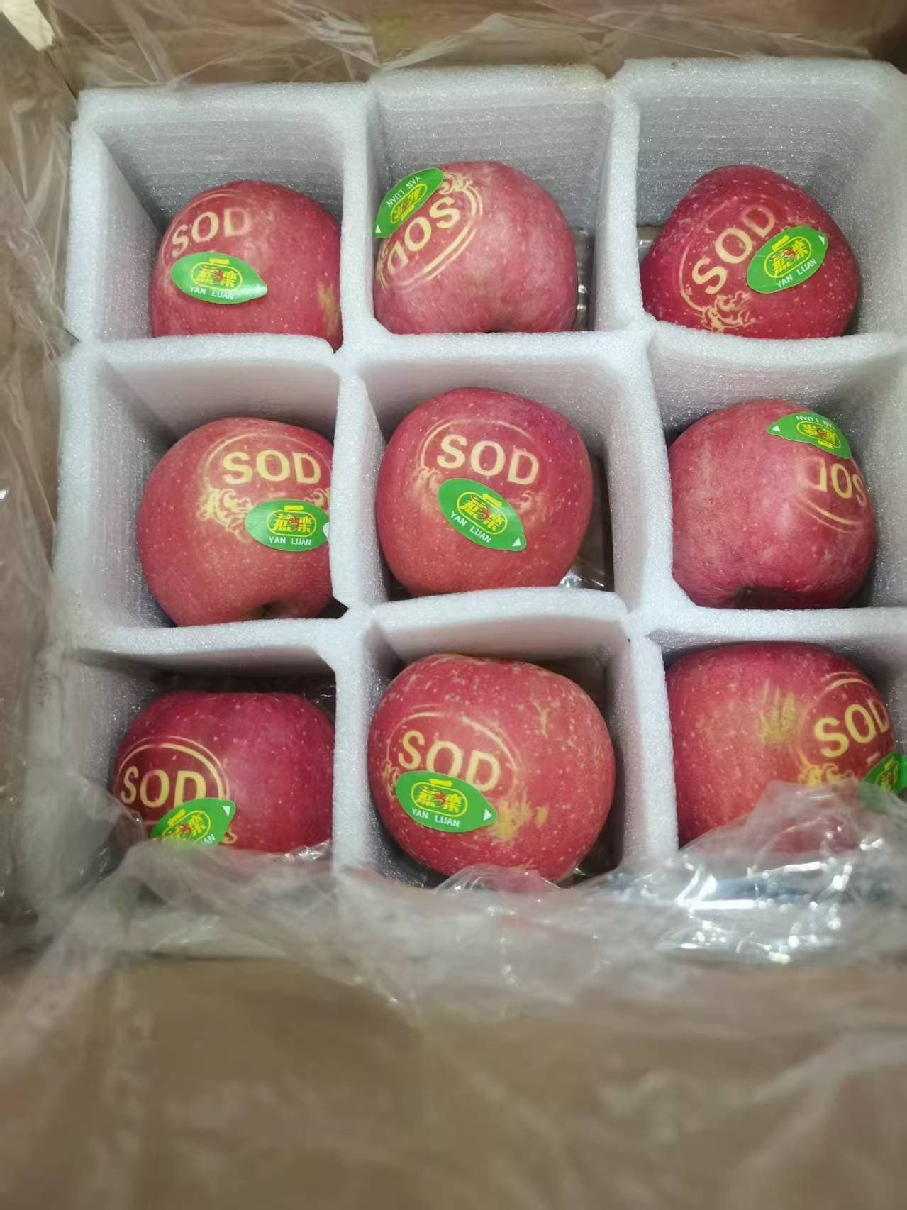 SOD猕猴桃种植
