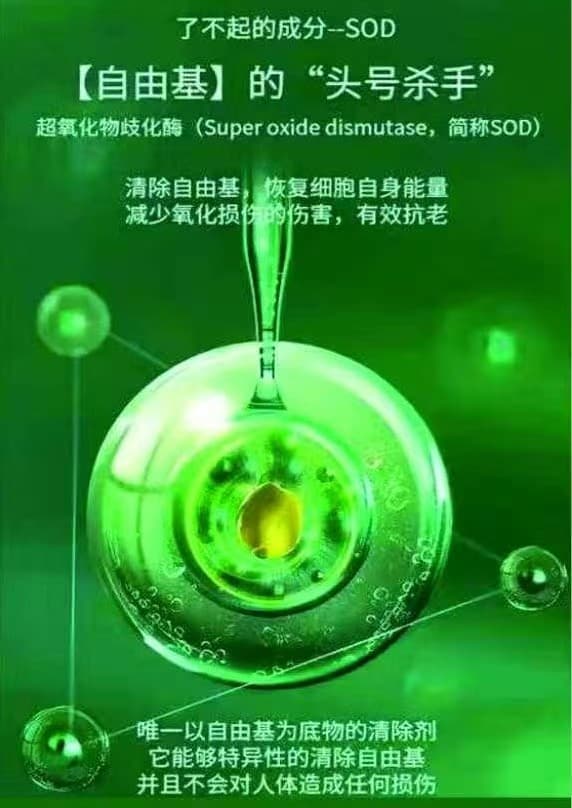 SOD挂面（礼盒装）-6