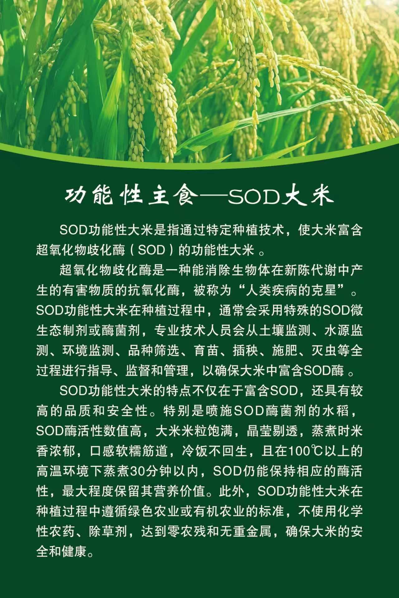 SOD富硒大米-5