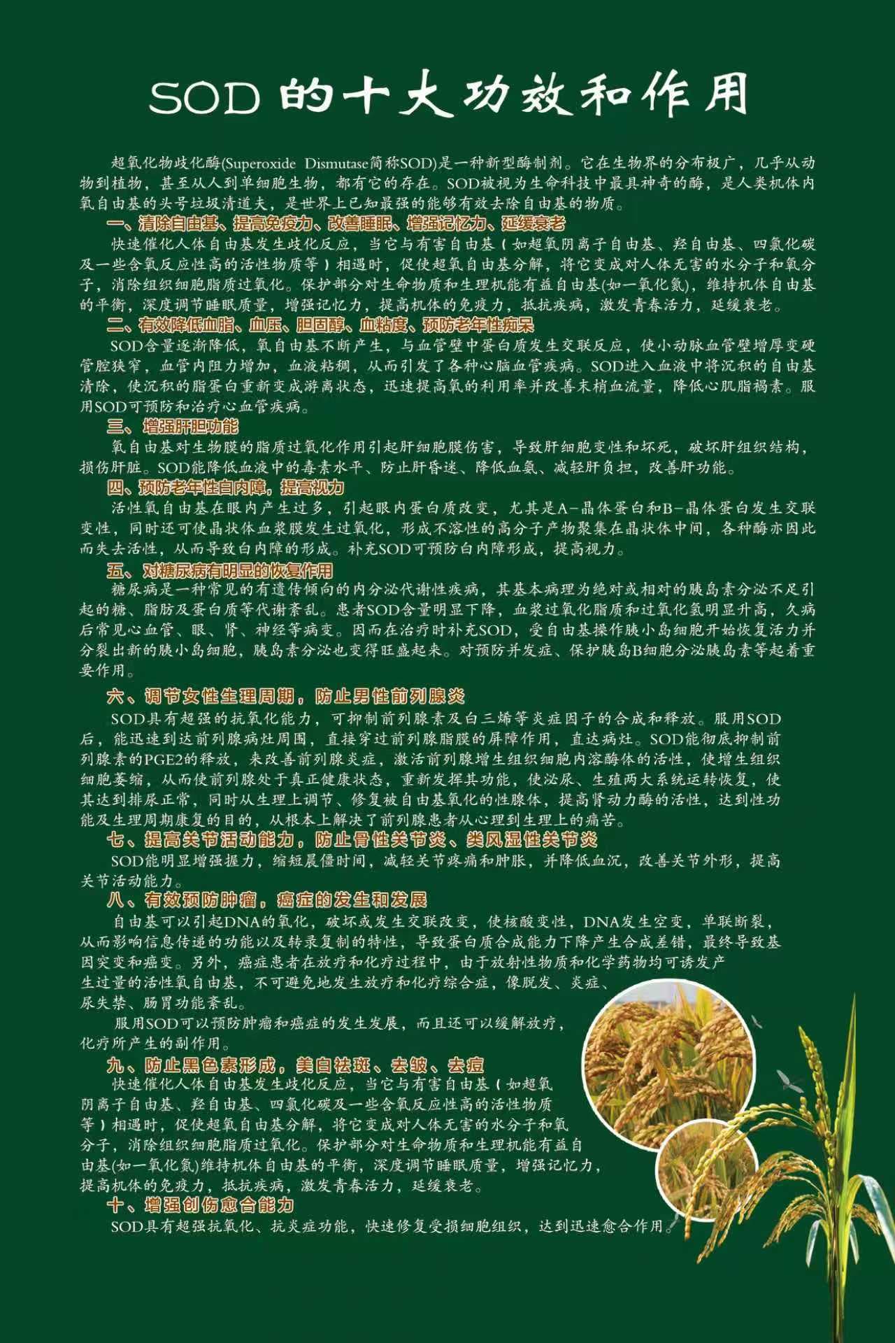 SOD富硒大米-6