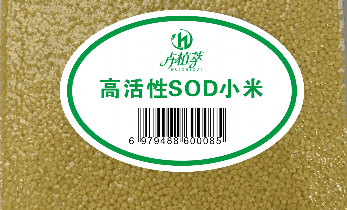 SOD小米