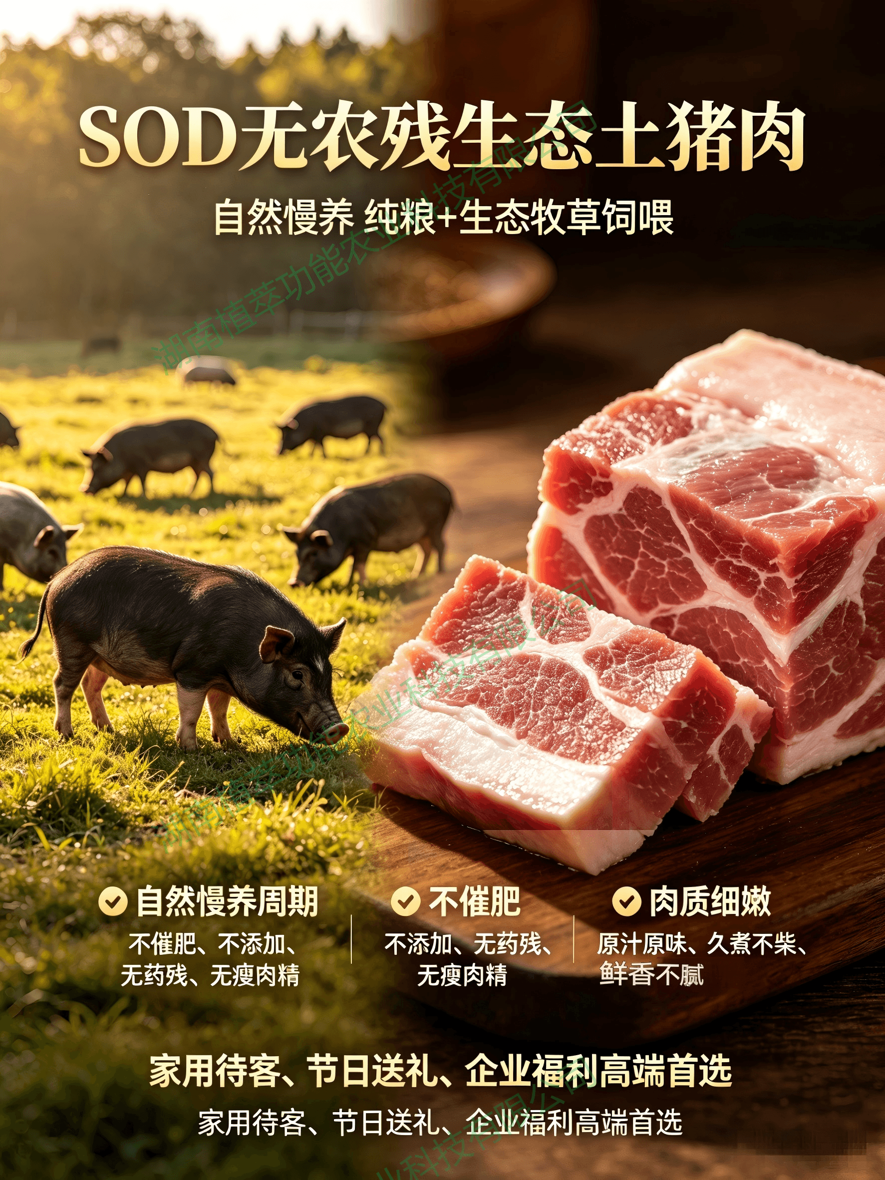 SOD五零土猪肉产品展示
