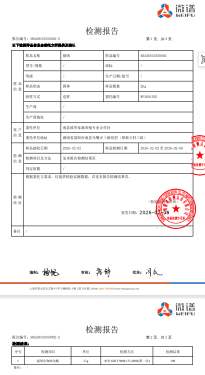 检测报告 1